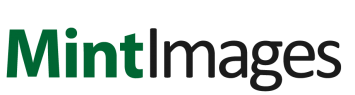 Mint Images Mint Images logo